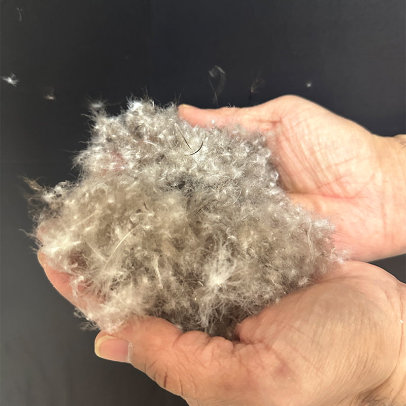 80% sivo pačje paperje