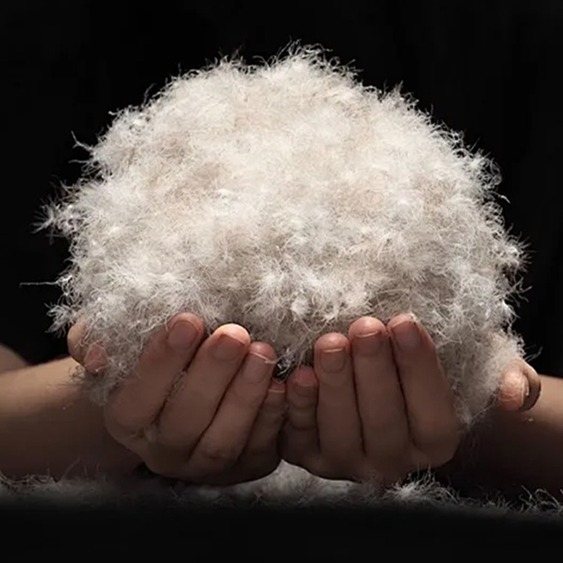 90% sivo pačje paperje