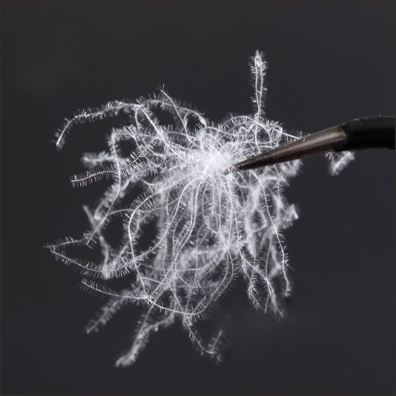 80% čistog bijelog pačjeg paperja