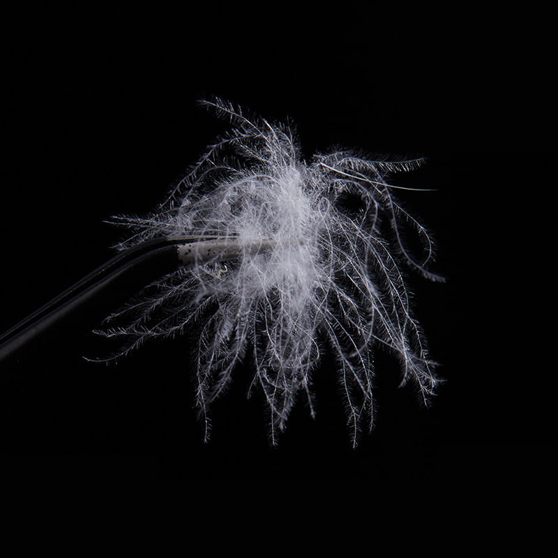 50% čistog bijelog pačjeg paperja